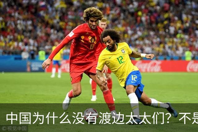 中国为什么没有渡边太太们？不是太太们不够精明，而是规则不让上桌