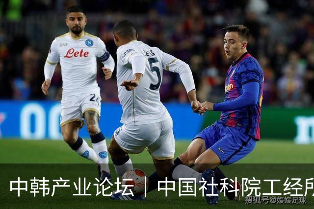 中韩产业论坛｜中国社科院工经所孙天阳：全球无人机供应链呈梯度分化 开放协作是破局关键