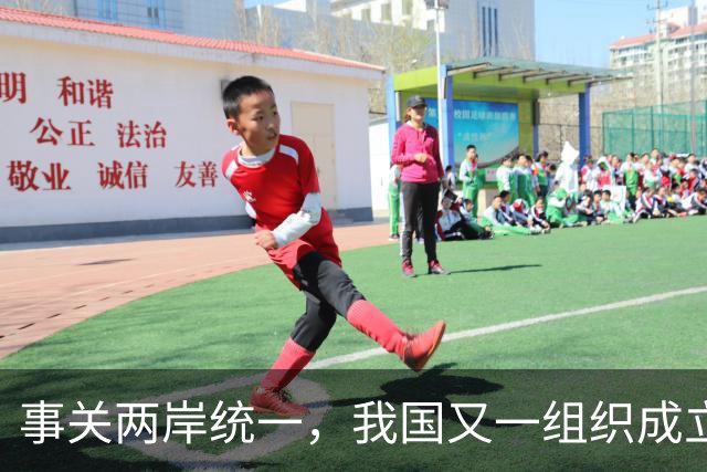 事关两岸统一，我国又一组织成立，台一“邦交”紧急向我国喊话