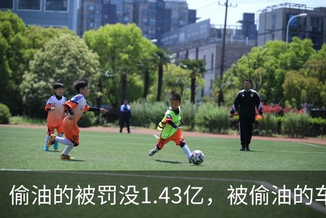 偷油的被罚没1.43亿，被偷油的车主该去哪领赔偿？