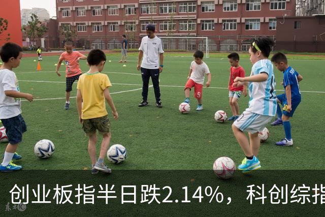 创业板指半日跌2.14%，科创综指跌3.71%，多只沪深300ETF集中放量