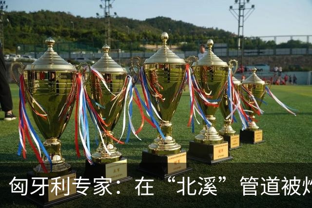 匈牙利专家：在“北溪”管道被炸毁后，德国对乌的支持是不正常的