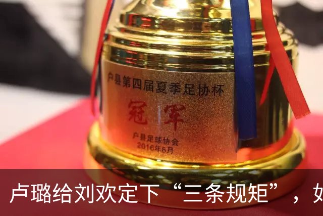 卢璐给刘欢定下“三条规矩”，如何让他数十年零商业翻车？