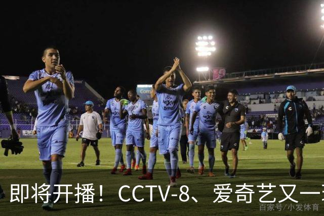 即将开播！CCTV-8、爱奇艺又一现实疗愈大剧来袭，阵容绝了，要火