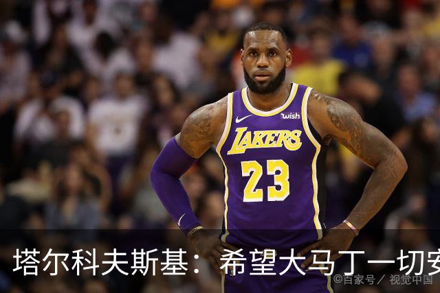 塔尔科夫斯基：希望大马丁一切安好，我当时并没有在要点球