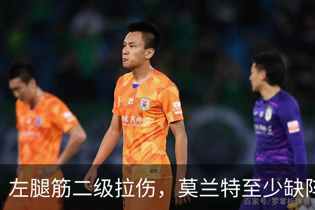 左腿筋二级拉伤，莫兰特至少缺阵四周