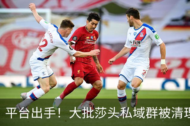 平台出手！大批莎头私域群被清理，饭圈乱象整治，全网纷纷叫好