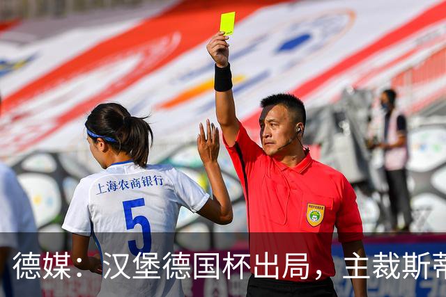 德媒：汉堡德国杯出局，主裁斯蒂勒承认漏判点球