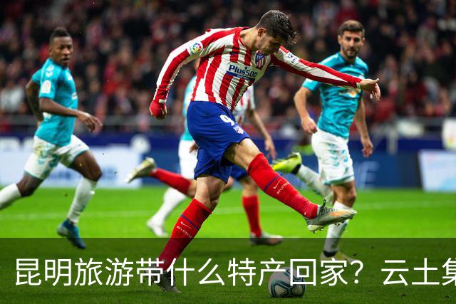 昆明旅游带什么特产回家？云土集云南伴手礼选购建议