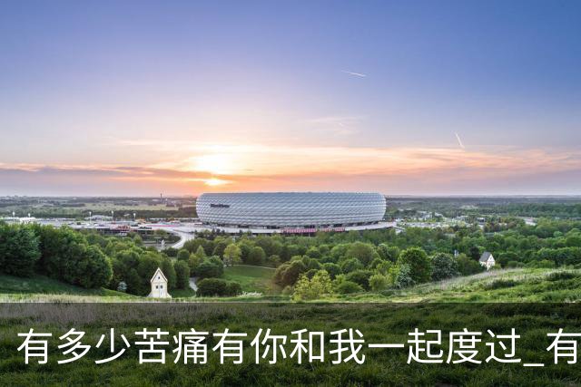 有多少苦痛有你和我一起度过 有多少快乐有你和我一起享受