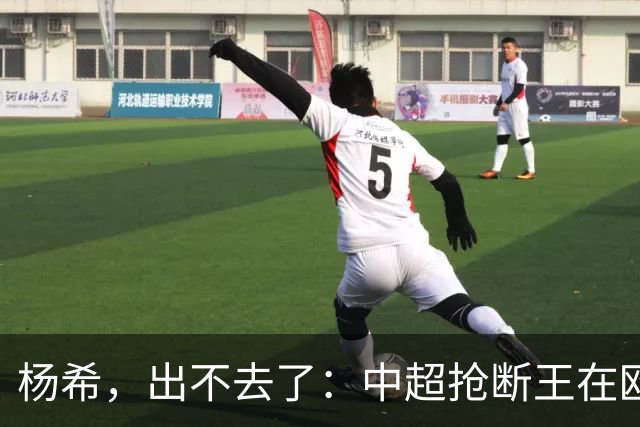 杨希，出不去了：中超抢断王在欧洲没有意义