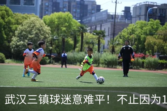 武汉三镇球迷意难平！不止因为1-3上海申花，更多在于以下五点！