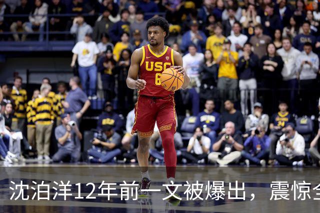沈泊洋12年前一文被爆出，震惊全台，蒋万安祭杀招，要报妻儿之仇