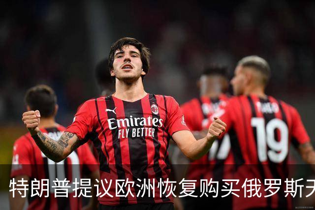特朗普提议欧洲恢复购买俄罗斯天然气，作为和平协议的一部分