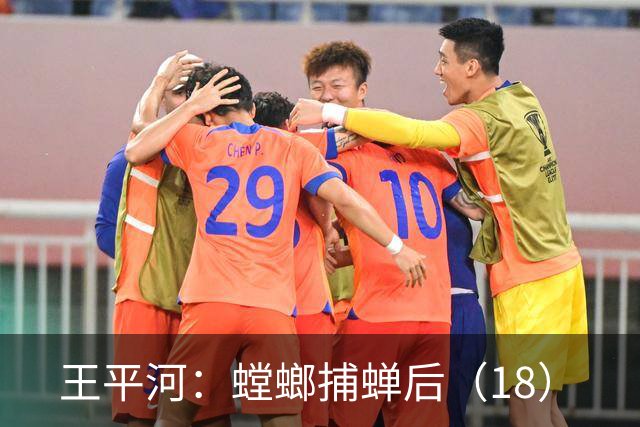 王平河：螳螂捕蝉后（1/8）