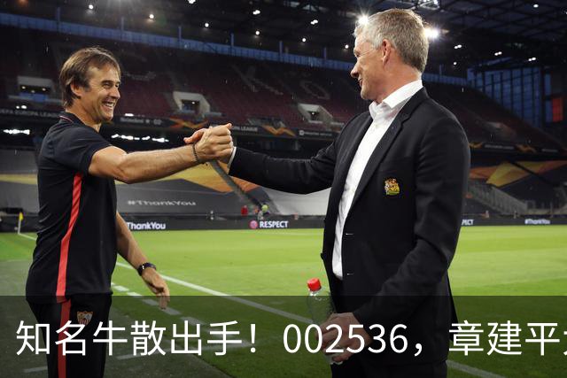 知名牛散出手！002536，章建平大举买入