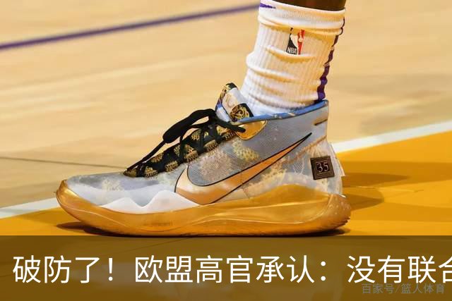 破防了！欧盟高官承认：没有联合国撑腰，世界上根本没人理我们