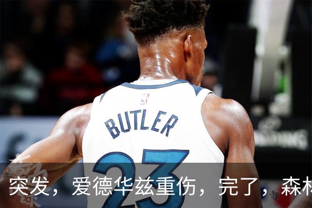 突发，爱德华兹重伤，完了，森林狼要崩溃了……