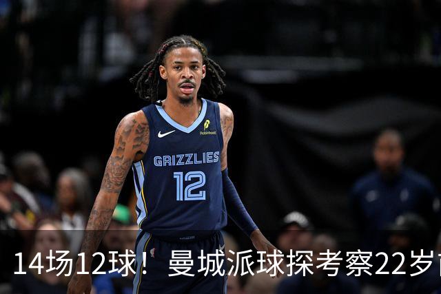 14场12球！曼城派球探考察22岁前锋，哈兰德替补有解了