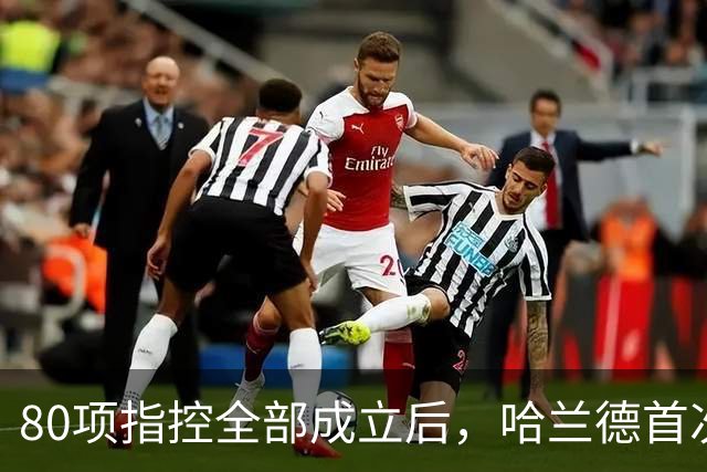 80项指控全部成立后，哈兰德首次开口只说了四个字